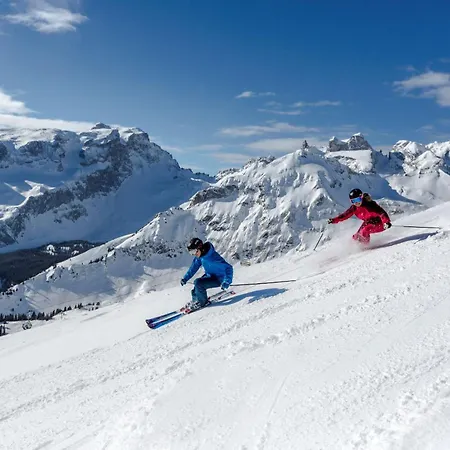 샬레 Sonnenchalet Bomhuesle 달라스