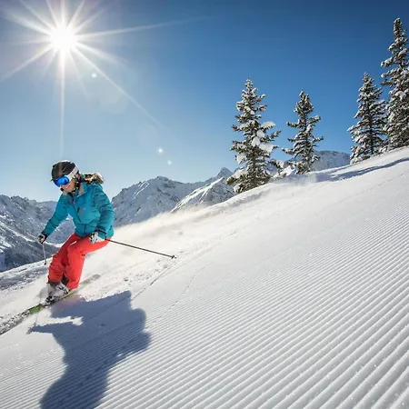 Sonnenchalet Bomhuesle 달라스